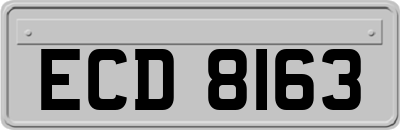 ECD8163