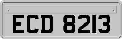 ECD8213