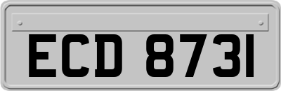 ECD8731
