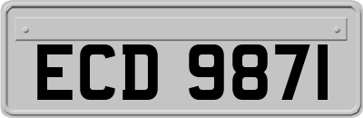 ECD9871