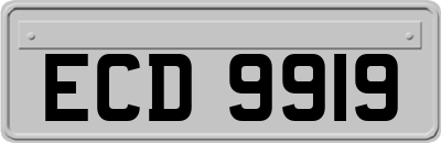 ECD9919