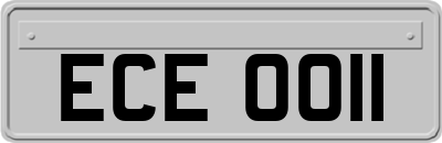 ECE0011