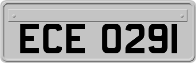 ECE0291