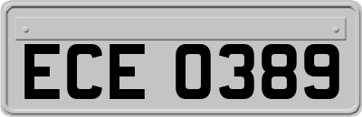 ECE0389