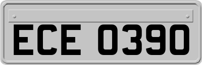 ECE0390