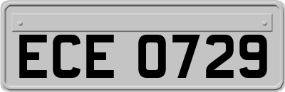 ECE0729
