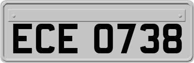 ECE0738