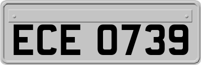 ECE0739