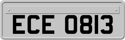 ECE0813