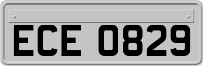 ECE0829