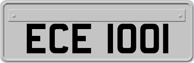 ECE1001
