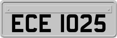 ECE1025