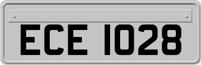 ECE1028