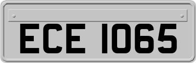 ECE1065
