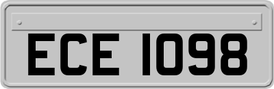 ECE1098