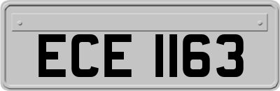 ECE1163