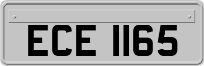 ECE1165