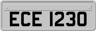 ECE1230