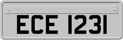 ECE1231