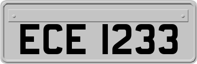 ECE1233