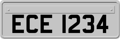 ECE1234