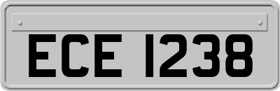 ECE1238