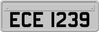 ECE1239
