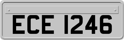 ECE1246