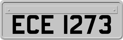 ECE1273