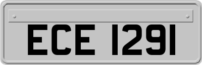 ECE1291