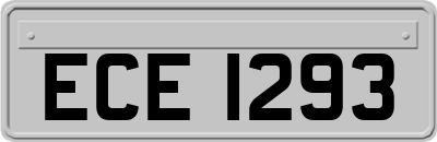 ECE1293