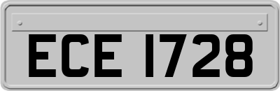ECE1728