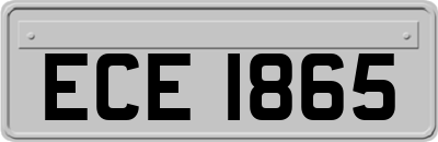ECE1865