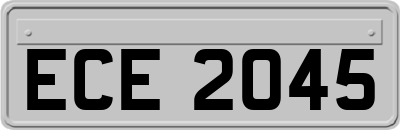 ECE2045