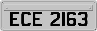 ECE2163