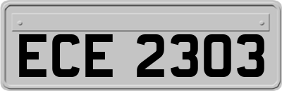 ECE2303