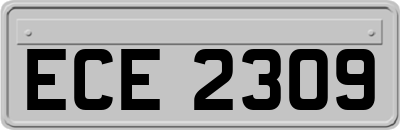 ECE2309