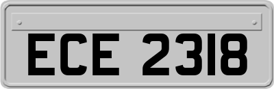 ECE2318