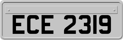 ECE2319