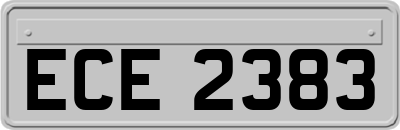 ECE2383