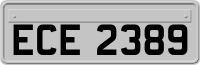 ECE2389