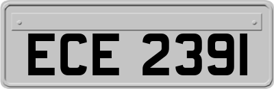 ECE2391