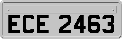 ECE2463