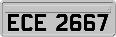 ECE2667