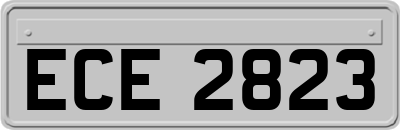 ECE2823