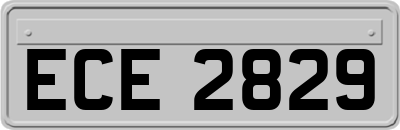 ECE2829