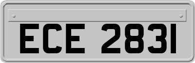 ECE2831