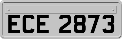 ECE2873