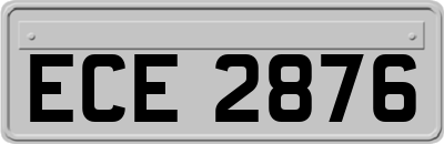 ECE2876