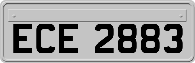ECE2883